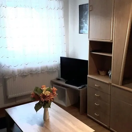 Apartament Theo